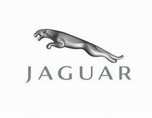 JAGUAR 捷豹