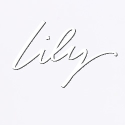 lily 